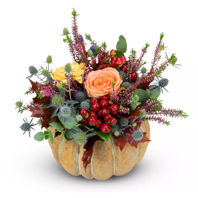 Barevné květy v dýni